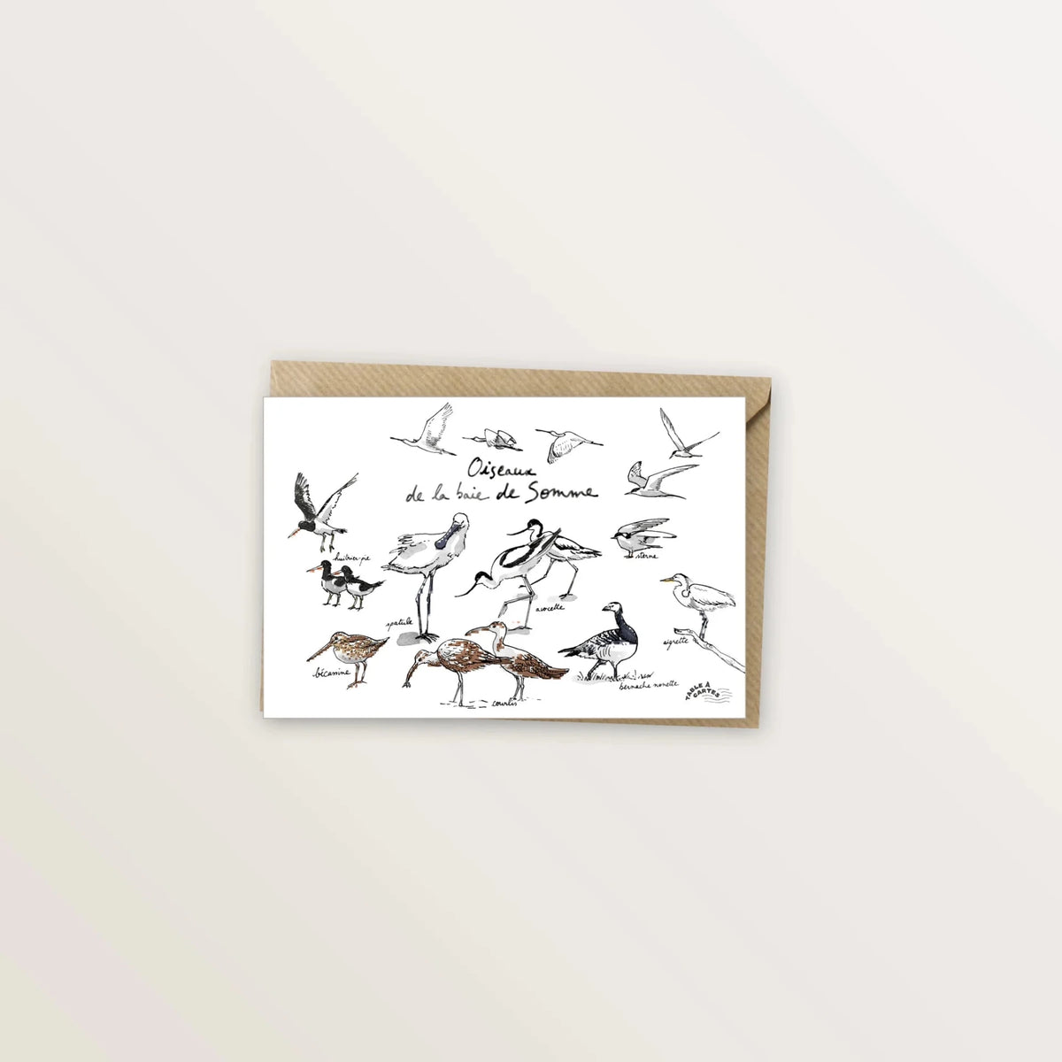 Carte postale « Oiseaux de la baie de Somme » : avocettes, huîtriers et sternes dessinés à l'encre