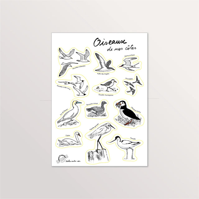 Planche de stickers A5 « Oiseaux de nos côtes » : macareux, avocette, fou de Bassan et goélands