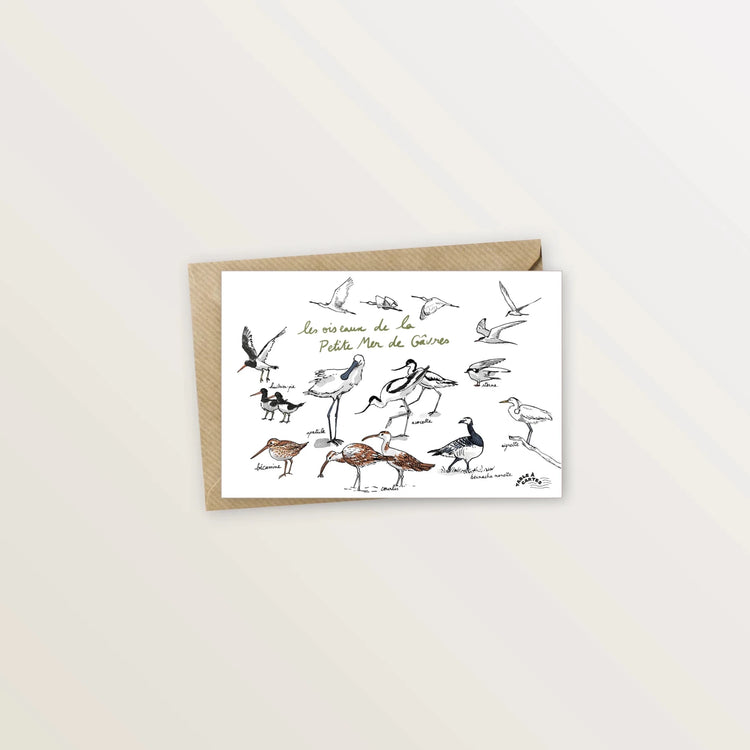 5 cartes postales de la presqu'île de Gâvres - Table à cartes