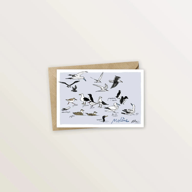 5 cartes postales des îles de Ouessant et Molène - Table à cartes