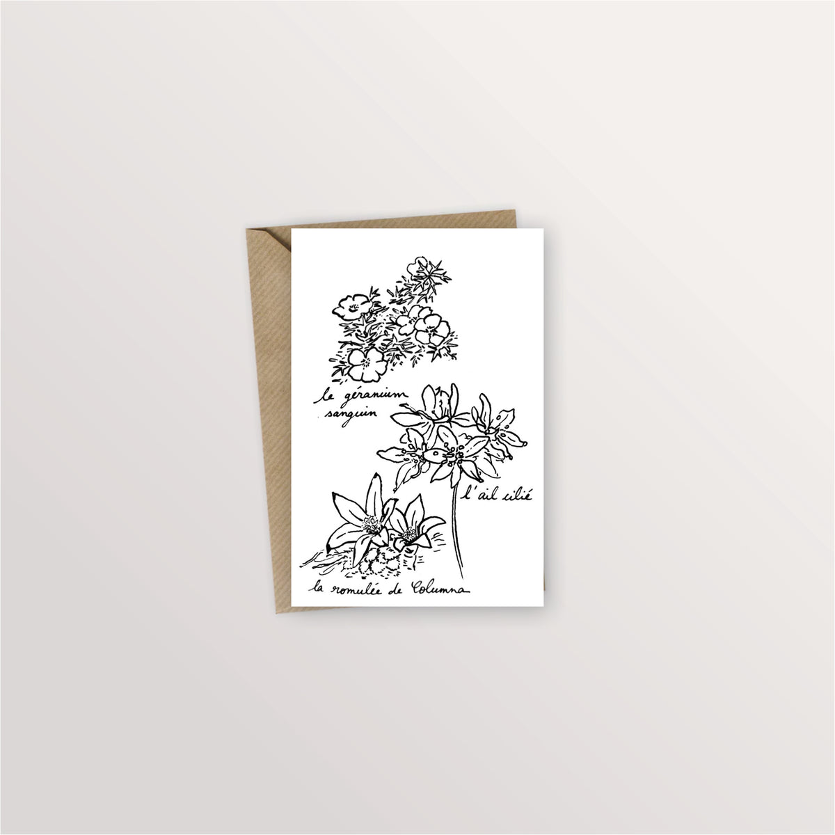 Carte postale îles Chausey : géranium sanguin, ail cilié et romulée de Columna dessinés à l'encre