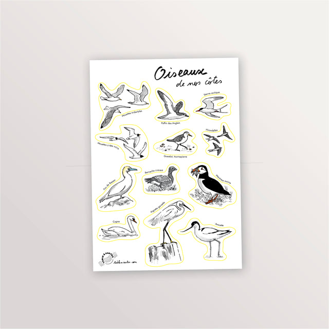 Planche de stickers A5 « Oiseaux de nos côtes » : macareux, fou de Bassan, avocette, aigrette et sternes