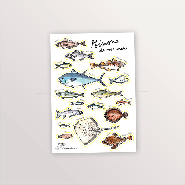 Planche de stickers A5 « Poissons de nos mers » : thon, raie, turbot, lotte et poissons côtiers aquarellés