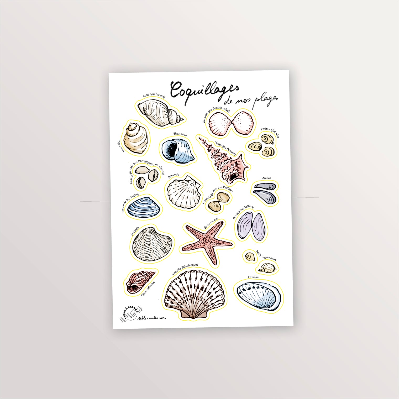 Planche de stickers Coquillages
