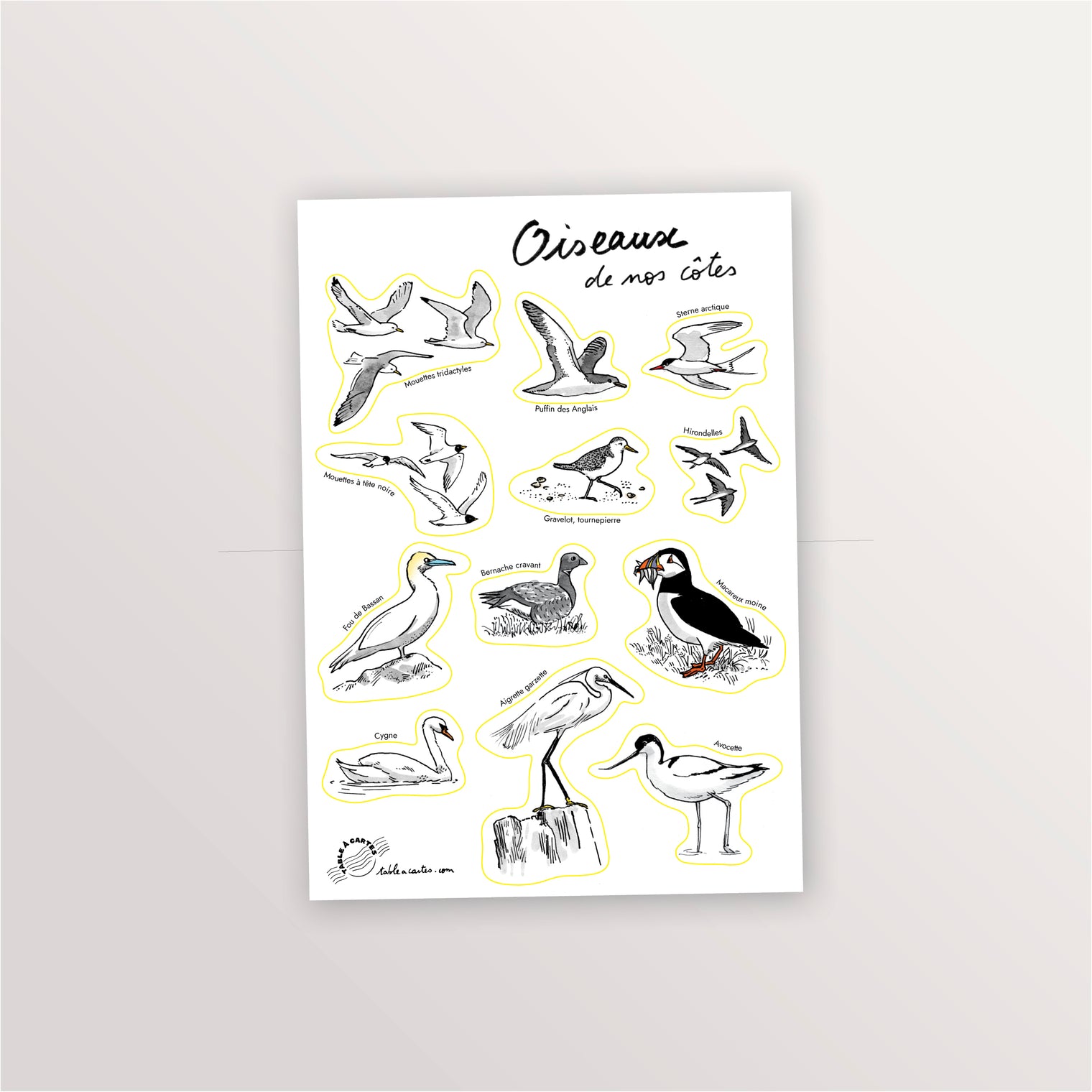 Planche de stickers Oiseaux de bord de mer