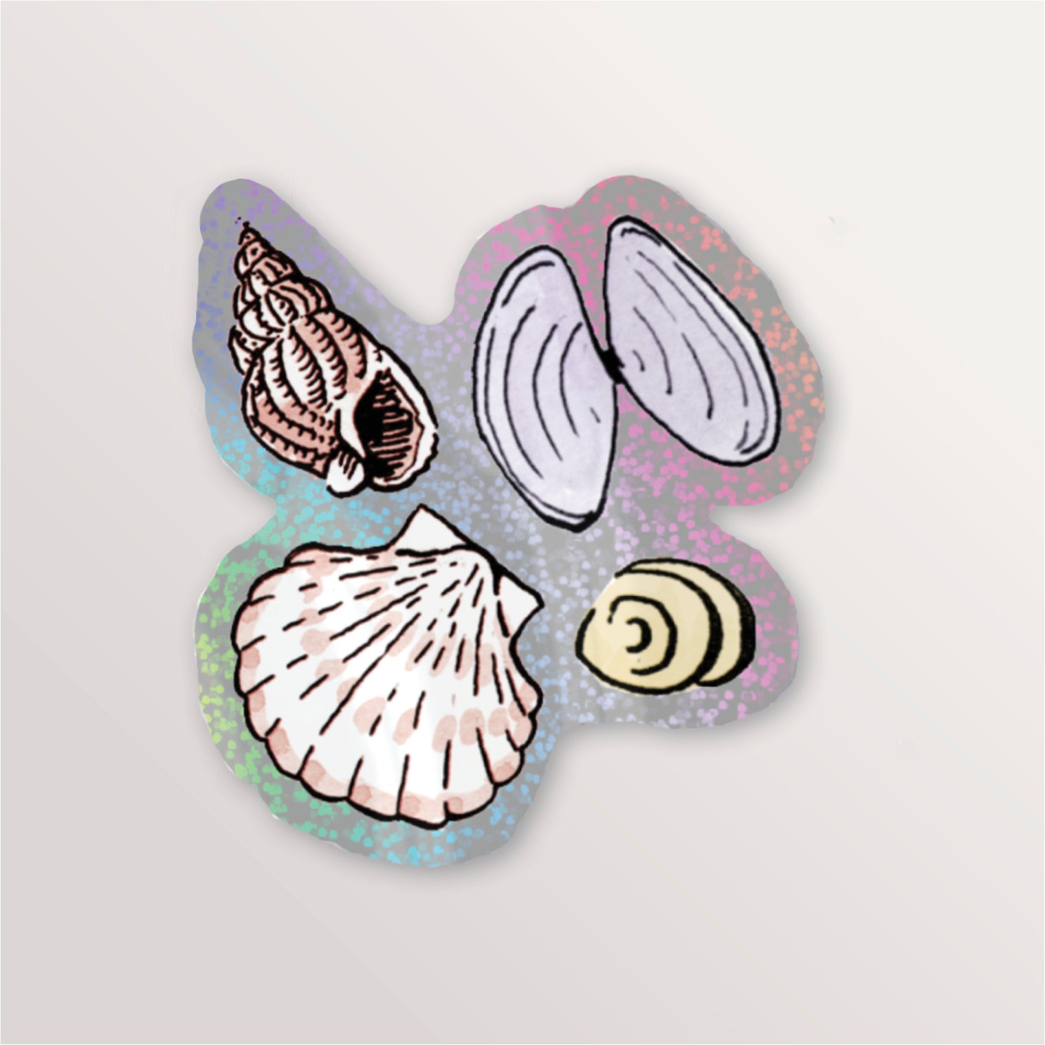 Sticker brillant - 4 coquillages