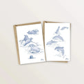 2 cartes postales dauphins et phoques - Table à cartes