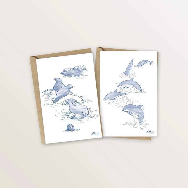2 cartes postales dauphins et phoques - Table à cartes