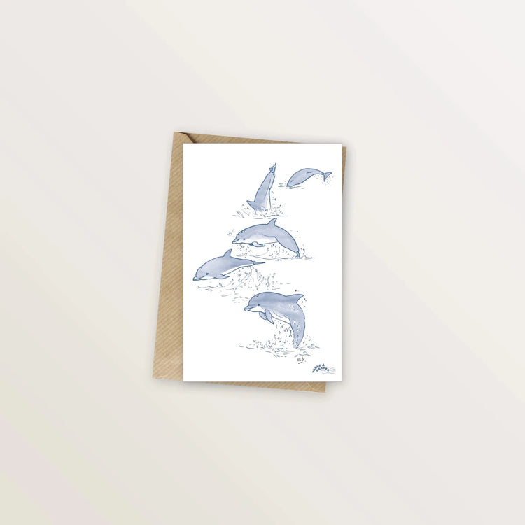 2 cartes postales dauphins et phoques - Table à cartes