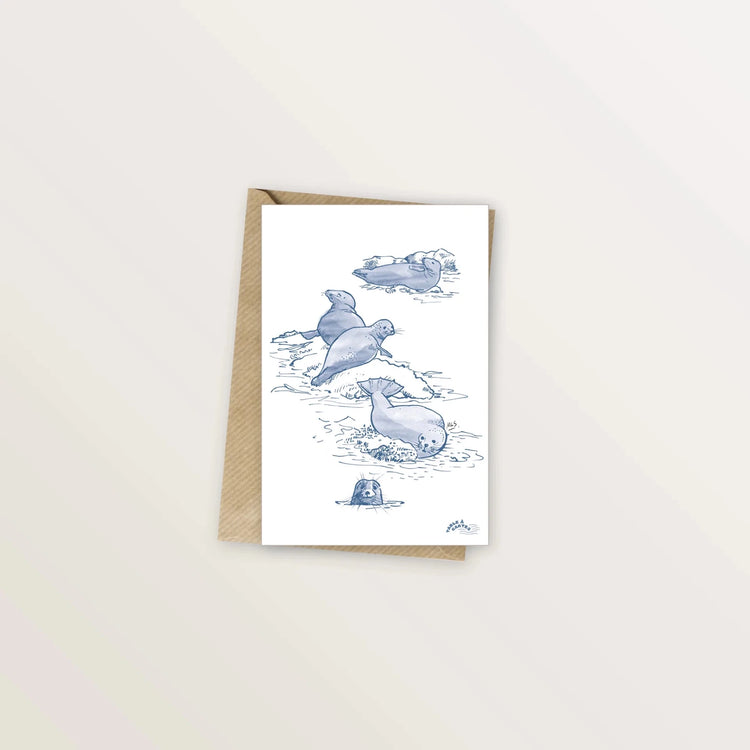 2 cartes postales dauphins et phoques - Table à cartes