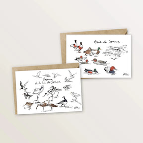 2 cartes postales - Oiseaux et canards de la baie de Somme - Table à cartes