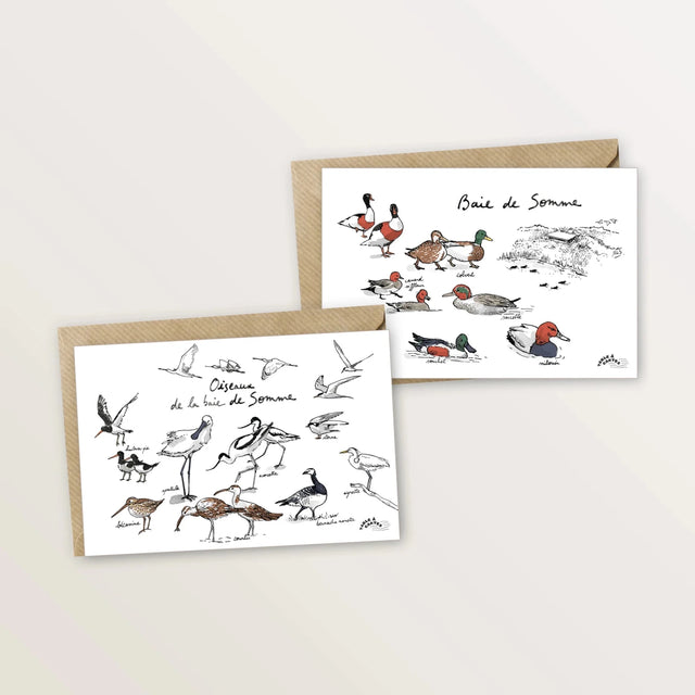 2 cartes postales - Oiseaux et canards de la baie de Somme - Table à cartes