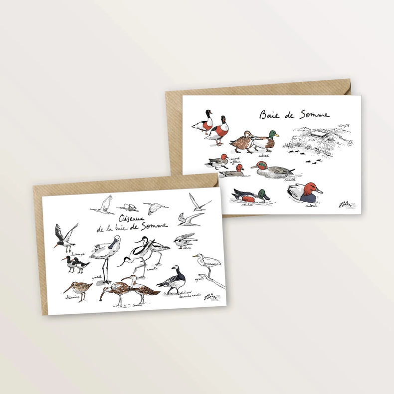 2 cartes postales - Oiseaux et canards de la baie de Somme - Table à cartes