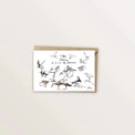 2 cartes postales - Oiseaux et canards de la baie de Somme - Table à cartes