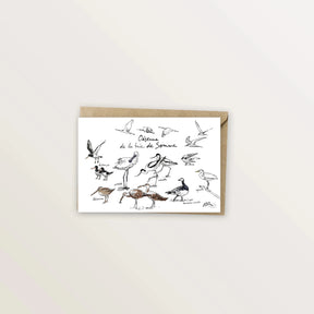 Carte postale « Oiseaux de la baie de Somme » : avocettes, huîtriers et sternes dessinés à l'encre