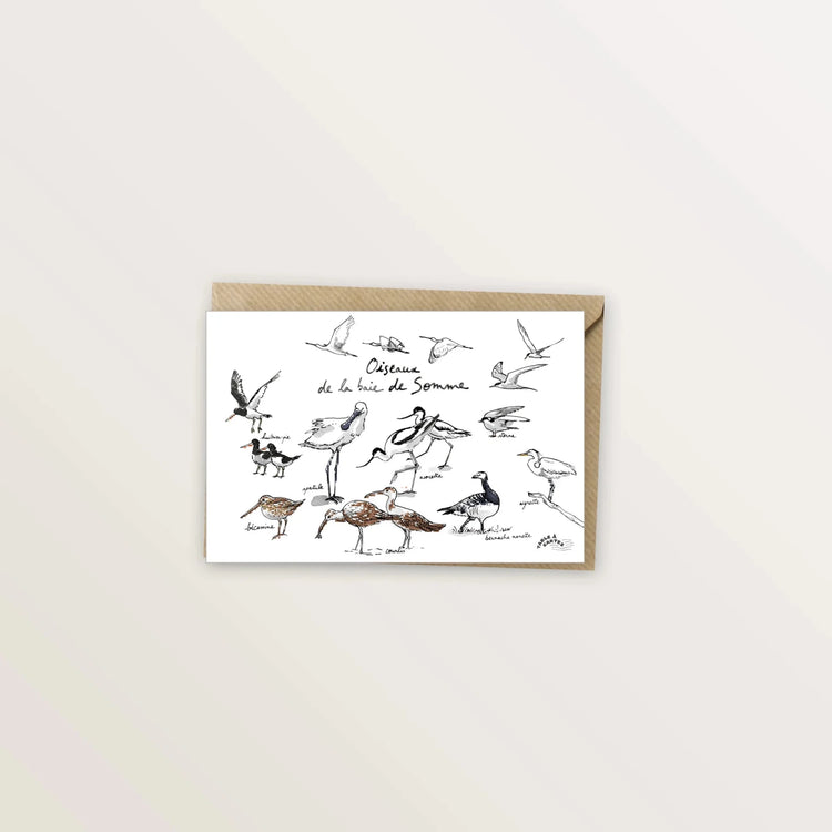 2 cartes postales - Oiseaux et canards de la baie de Somme - Table à cartes