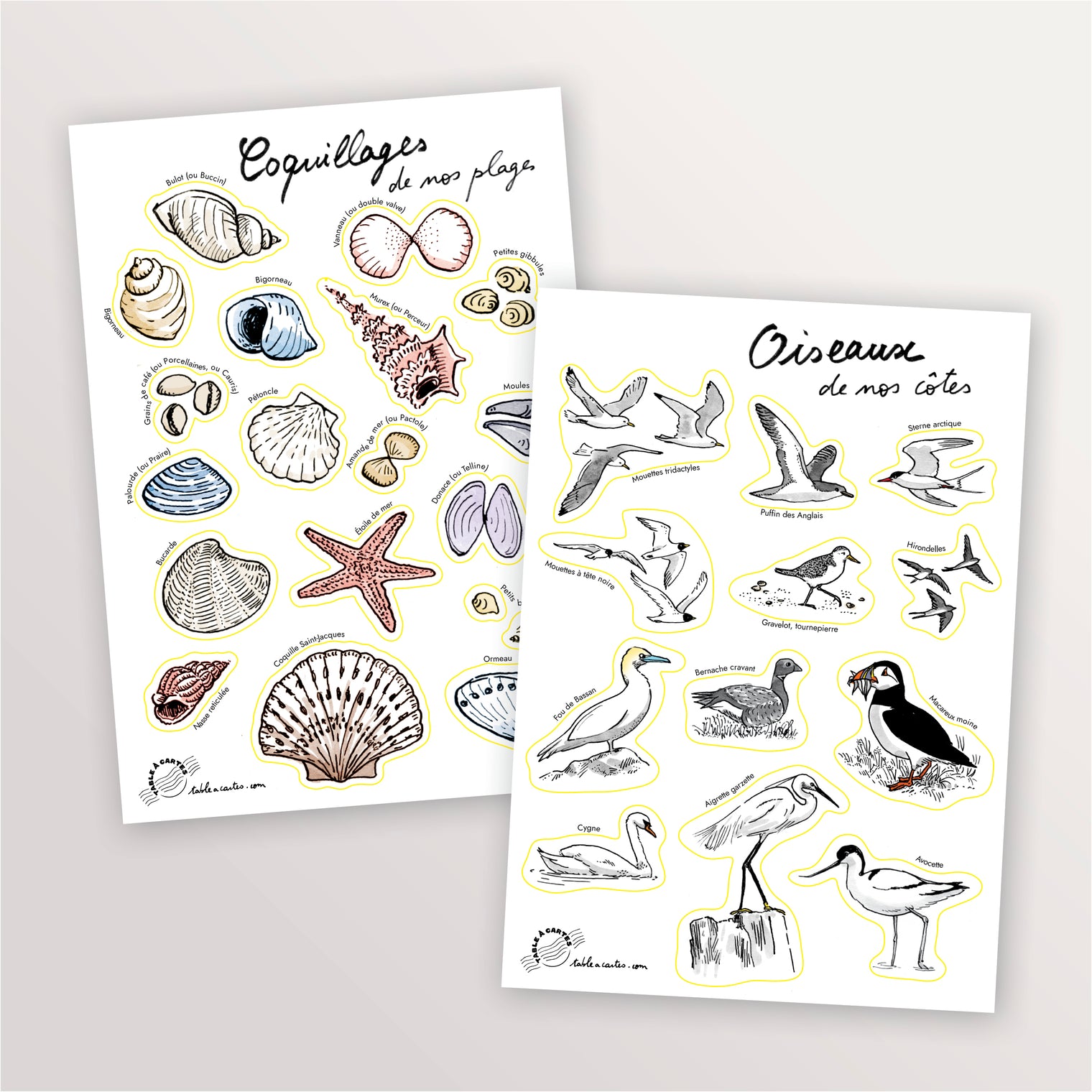 2 planches de stickers A5 : Oiseaux et Coquillages
