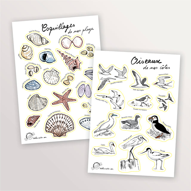 2 planches de stickers A5 : Oiseaux et Coquillages