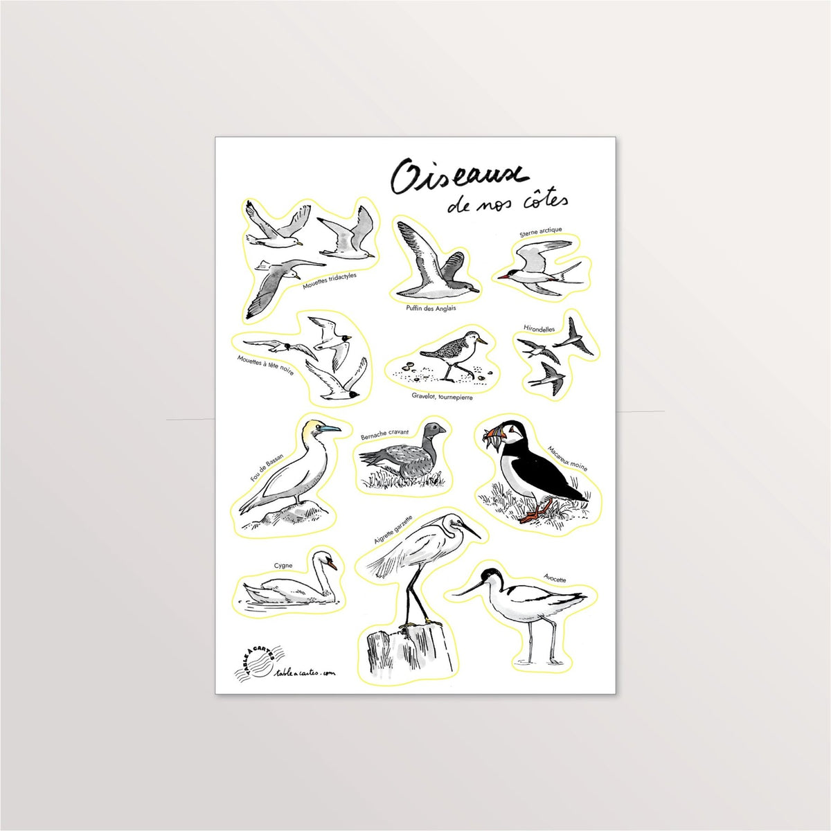 Planche de stickers A5 « Oiseaux de nos côtes » : macareux, avocette, fou de Bassan et goélands