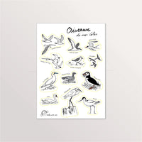 Planche de stickers A5 « Oiseaux de nos côtes » : macareux, avocette, fou de Bassan et goélands