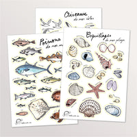 Lot de 3 planches de stickers A5 : poissons, oiseaux et coquillages du littoral