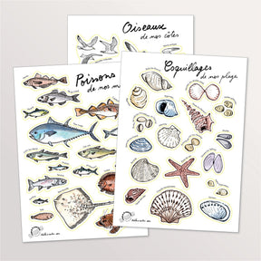 Lot de 3 planches de stickers A5 : poissons, oiseaux et coquillages du littoral