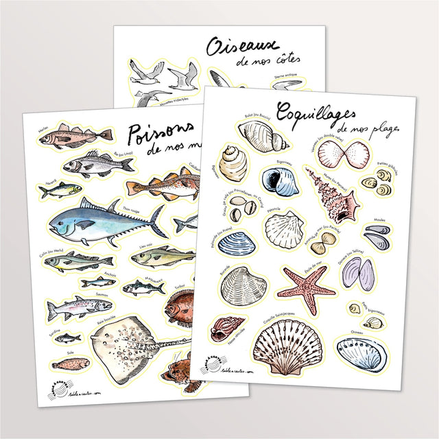 Lot de 3 planches de stickers A5 : poissons, oiseaux et coquillages du littoral