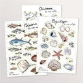 Lot de 3 planches de stickers A5 : poissons, oiseaux et coquillages du littoral