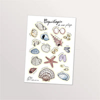 Planche de stickers A5 « Coquillages de nos plages » : coquilles Saint-Jacques, étoile de mer et bigorneaux