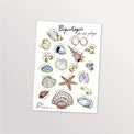 Planche de stickers A5 « Coquillages de nos plages » : coquilles Saint-Jacques, étoile de mer et bigorneaux