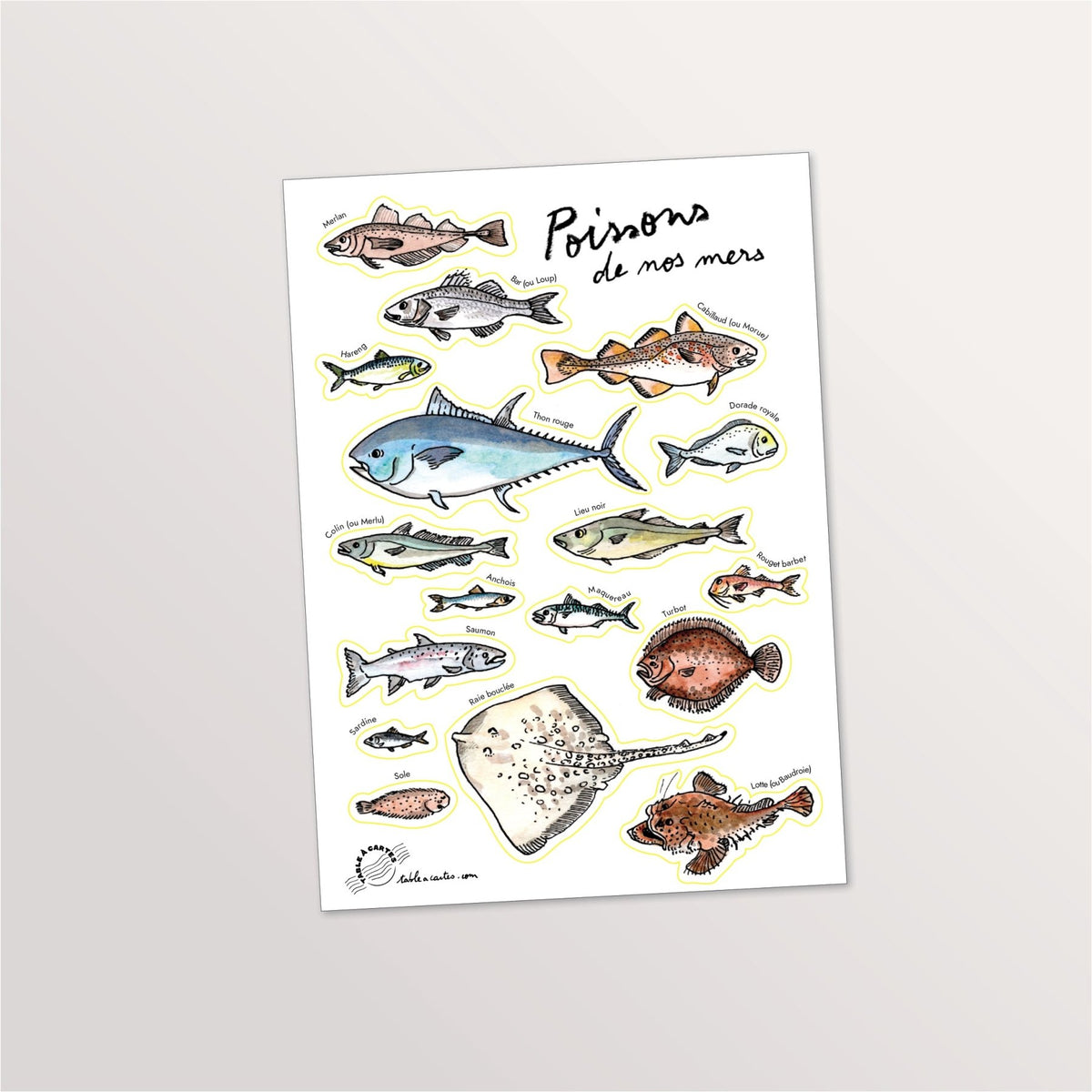 Planche de stickers A5 « Poissons de nos mers » : raie, thon, bar et poissons côtiers illustrés