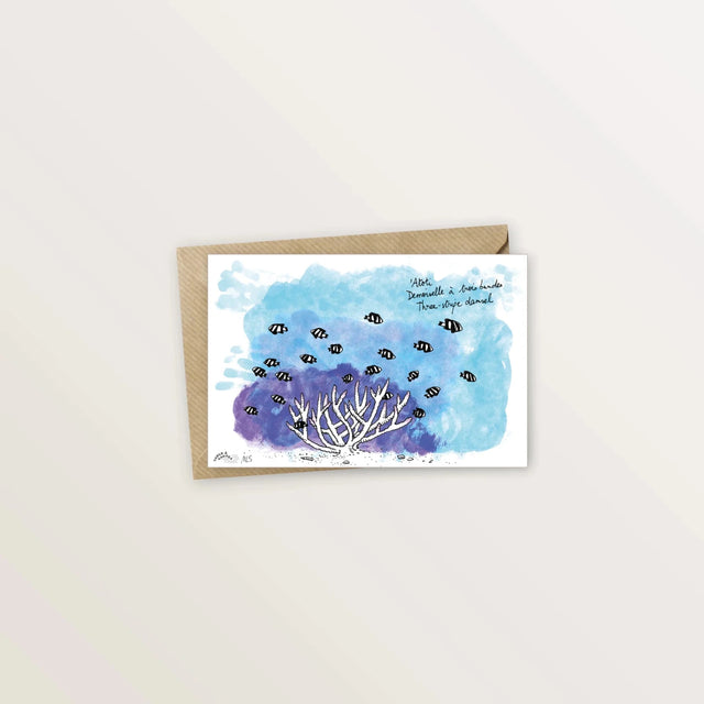 4 cartes postales animées : collection des poissons du lagon - Table à cartes