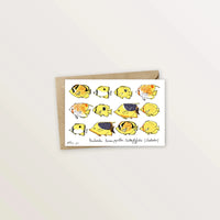 4 cartes postales animées : collection des poissons du lagon - Table à cartes