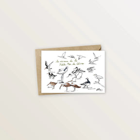 Carte postale Gâvres : les oiseaux de la Petite Mer, bernaches, aigrettes et spatules