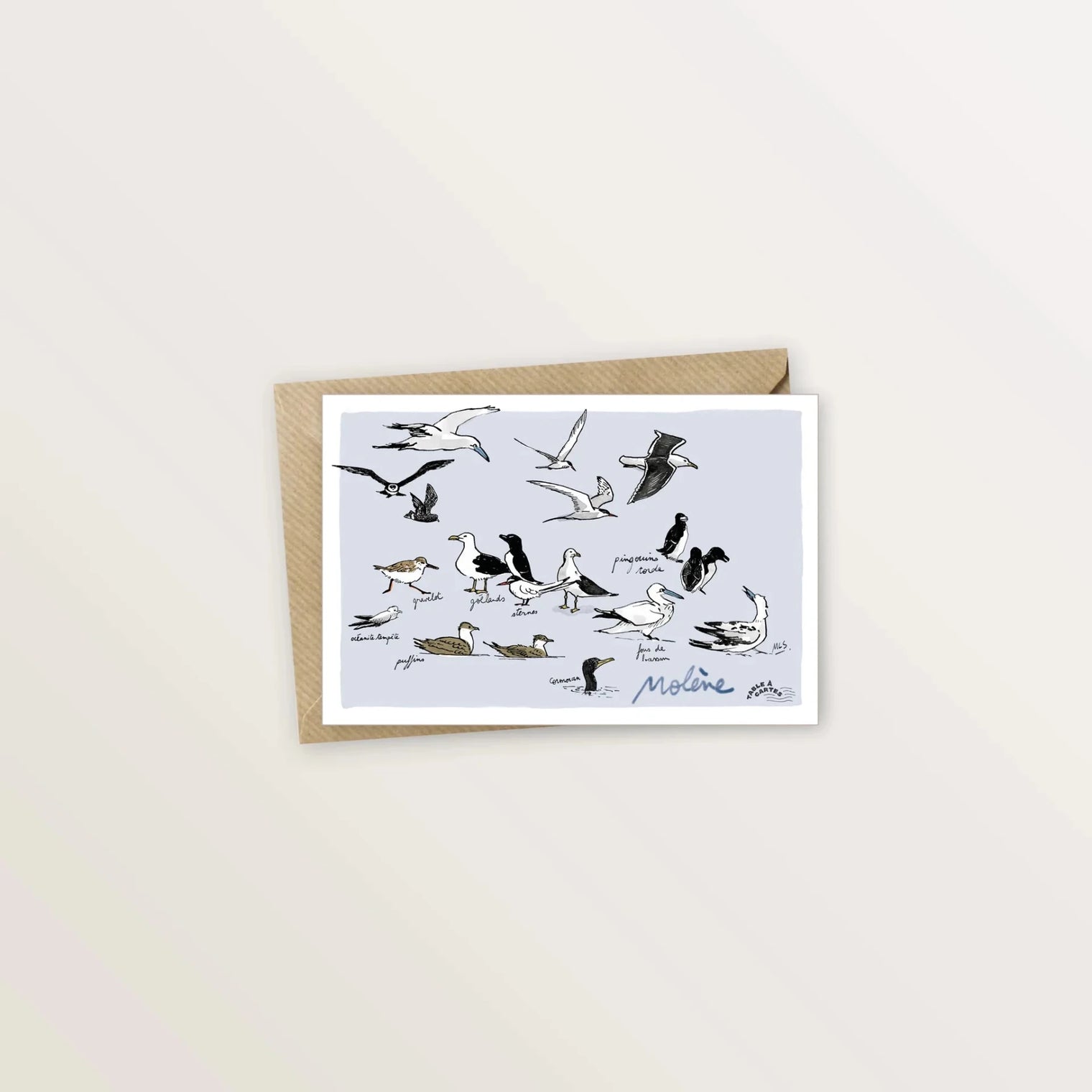 5 cartes postales des îles de Ouessant et Molène - Table à cartes