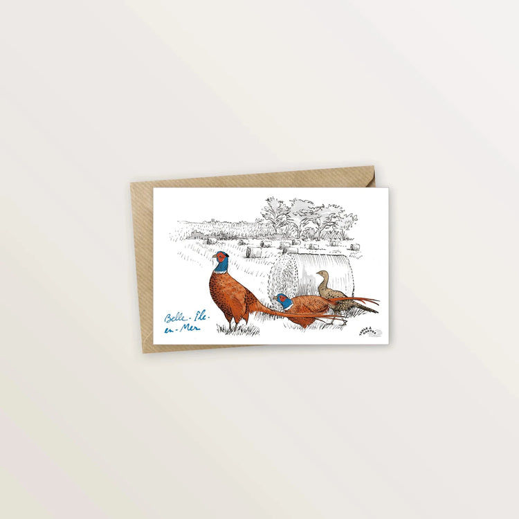 5 cartes postales pour revisiter Belle-Île-en-Mer - Table à cartes
