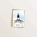 5 cartes postales : virée à Groix - Table à cartes