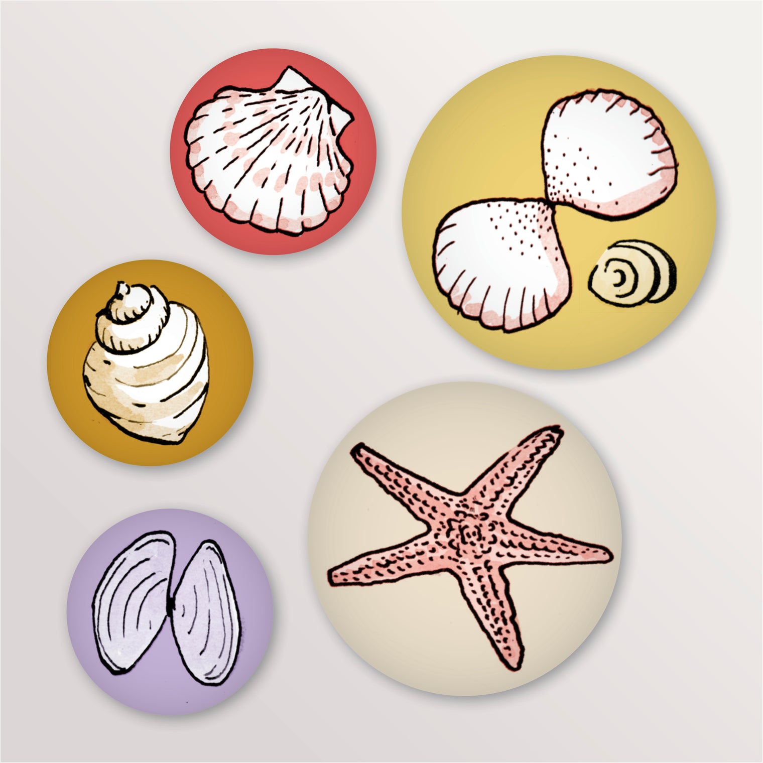 Jeu de 5 magnets coquillages