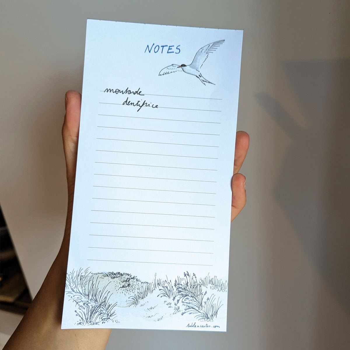 Bloc-notes magnétique « Notes » tenu en main : liste de courses sous une sterne en vol