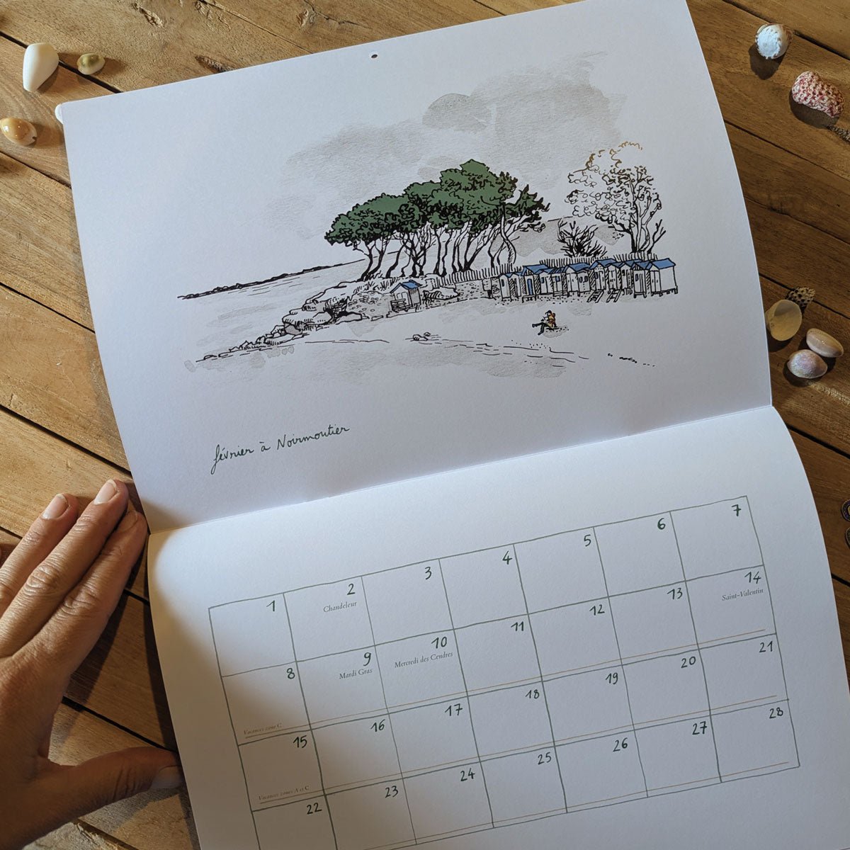 Calendrier 2027 « D'île en île » ouvert : pins parasols de l'île de Noirmoutier dessinés à l'encre