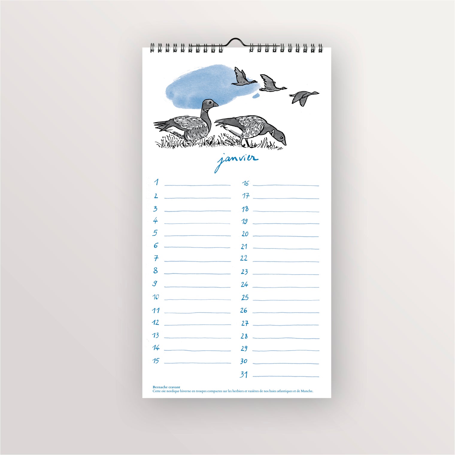 Calendrier perpétuel - Oiseaux de bord de mer