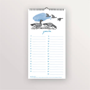 Calendrier perpétuel - Oiseaux de bord de mer