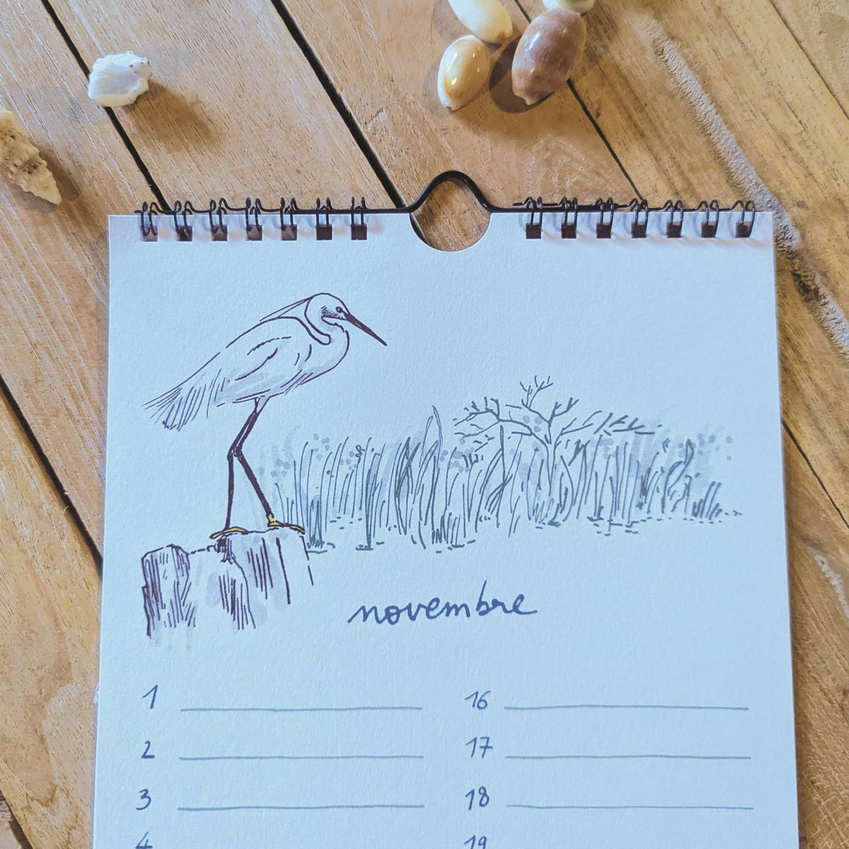 Calendrier perpétuel « Oiseaux de bord de mer », page de novembre : aigrette dans les roseaux