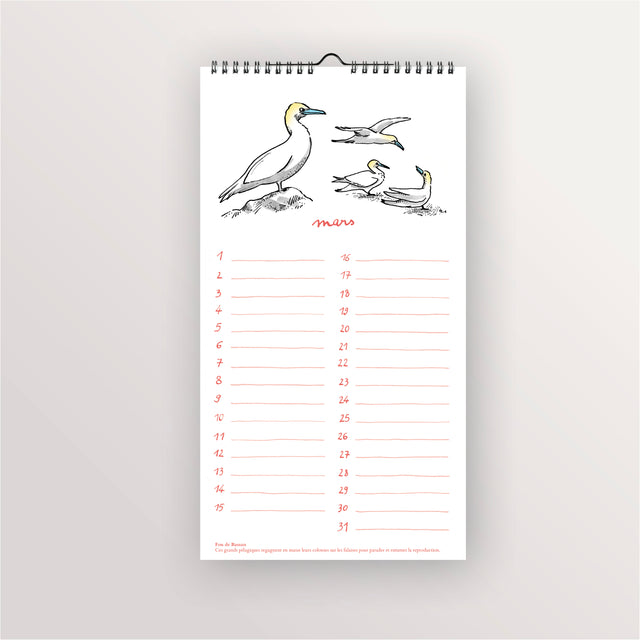 Calendrier perpétuel - fous de bassan de mars