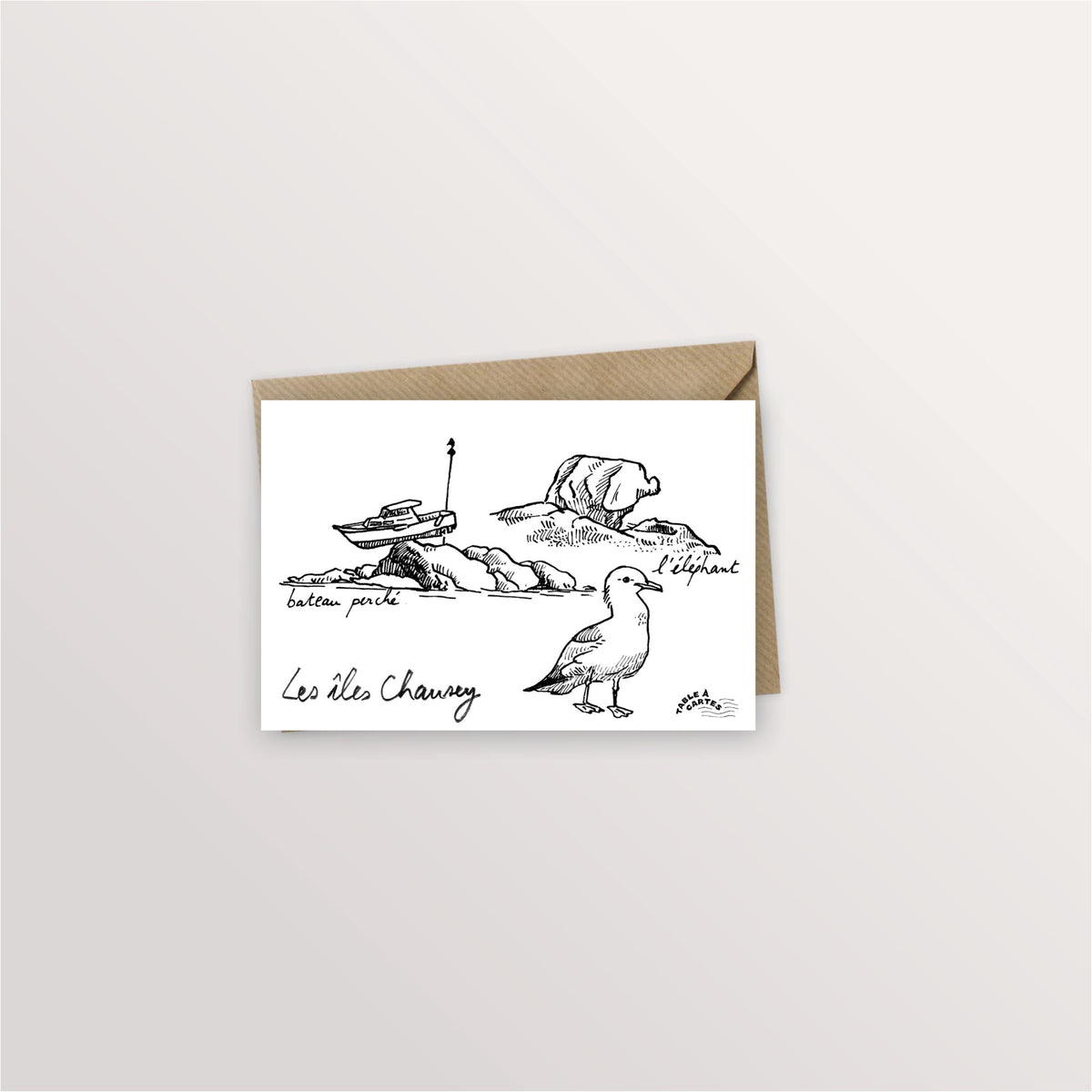 Carte postale îles Chausey : bateau perché sur les rochers à marée basse, rocher de l'Éléphant et goéland