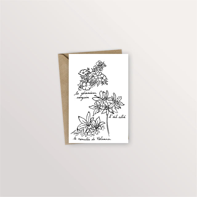 Carte postale îles Chausey : géranium sanguin, ail cilié et romulée de Columna dessinés à l'encre