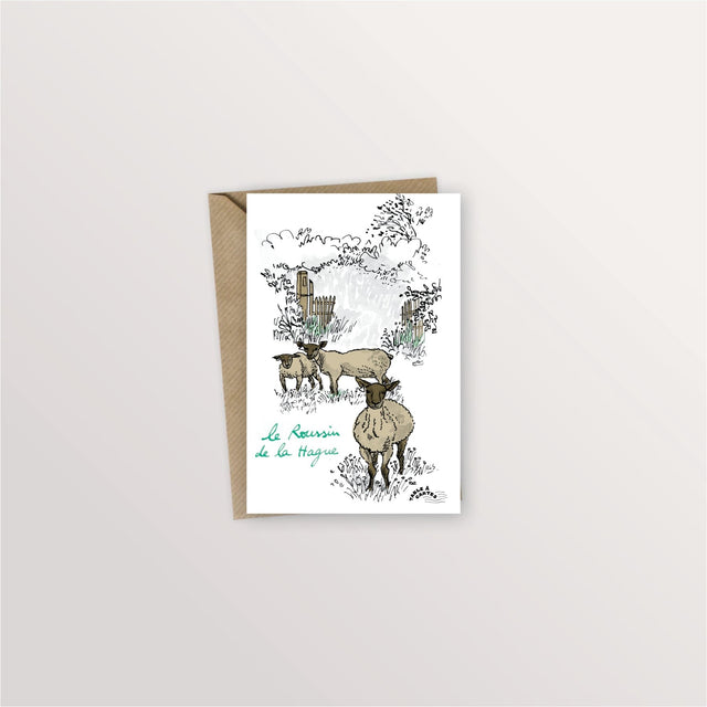 Carte postale La Hague - Les moutons roussins - Table à cartes