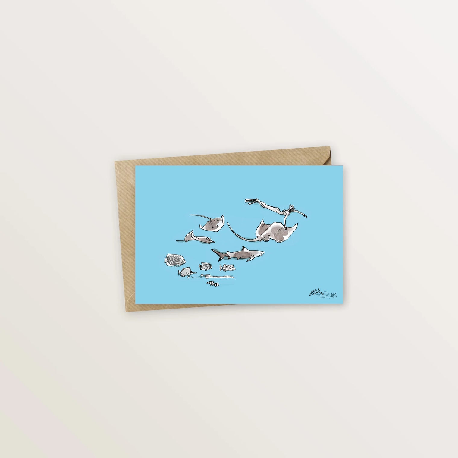 Carte postale de Moorea - Requins et raies