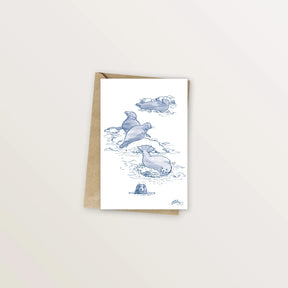 Carte postale : phoques sur les rochers, dessin à l'encre bleue avec enveloppe kraft