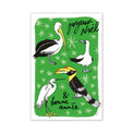 Carte de vœux double « Oiseaux tropicaux » : pélican, fou et calao sur fond vert, « Joyeux Noël & bonne année »